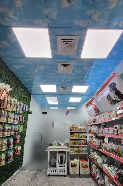 Shelves of pet food and treats inside the Cool Pets Trading store